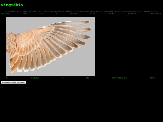 wingedkin screenshot