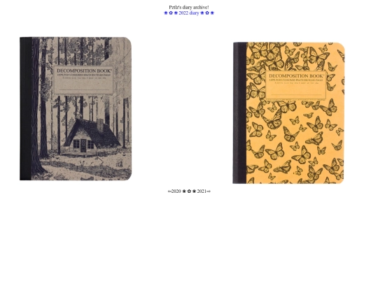 diaries screenshot