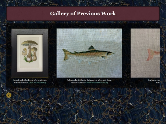 gallery screenshot