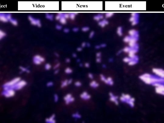 Project screenshot
