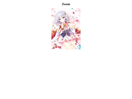 zoom screenshot