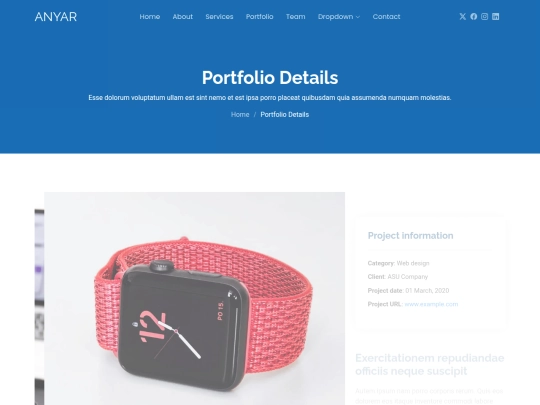 PlantillasV/001/portfolio-details screenshot