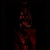 666666 avatar
