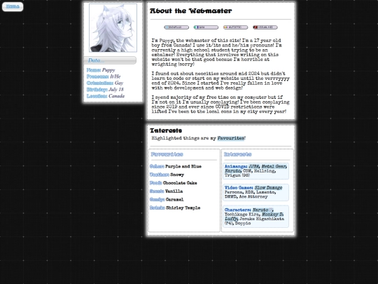 webmaster screenshot