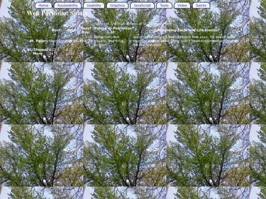 saints screenshot