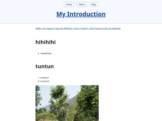 blog screenshot