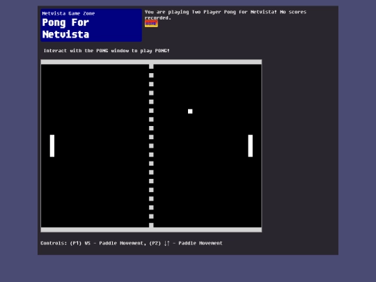 netvistapark/games/pong screenshot