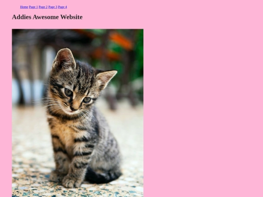 myfirstwebsite screenshot