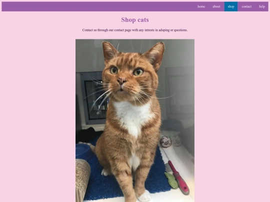 shop screenshot