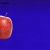 Official Apple Joe's Apples website avatar