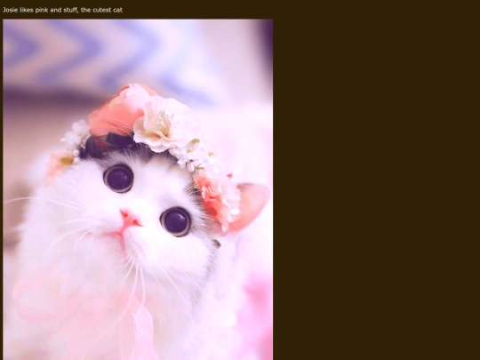 images/test screenshot
