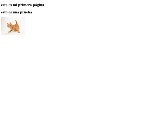 practica2 screenshot