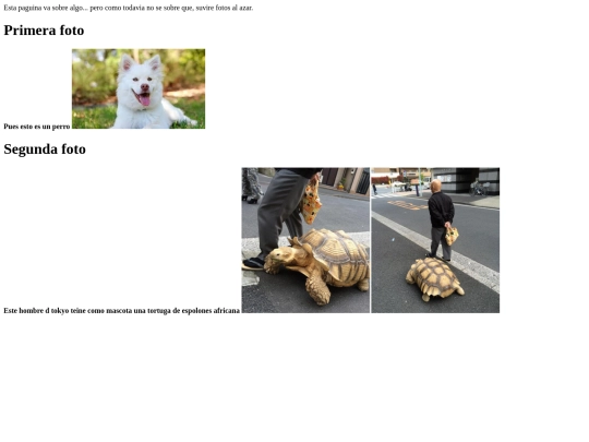 trabajodesanti screenshot