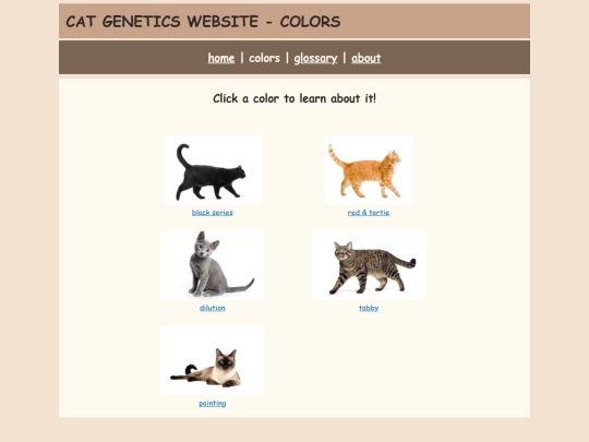 colors screenshot