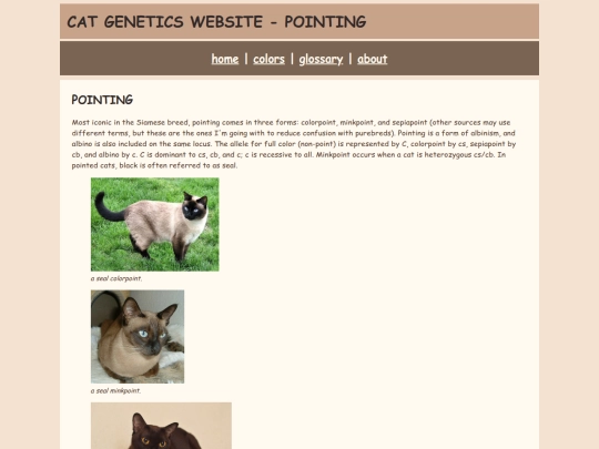 point screenshot