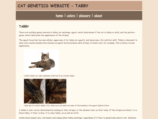 tabby screenshot