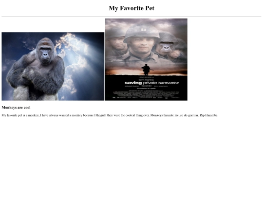 MyFavoritePet screenshot