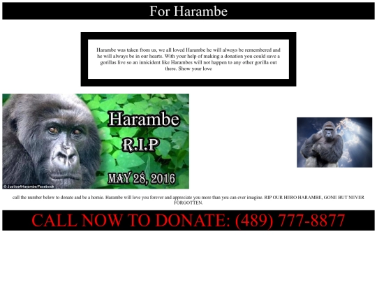 harambe screenshot