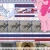 stupid-horse-loverr.neocities.org avatar