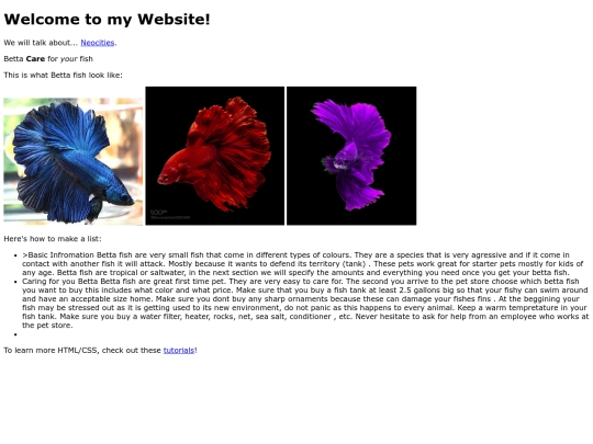 betta/betta screenshot