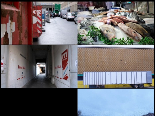 photos screenshot