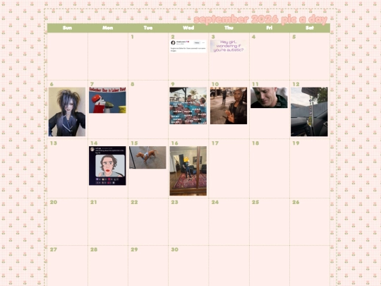 picaday screenshot