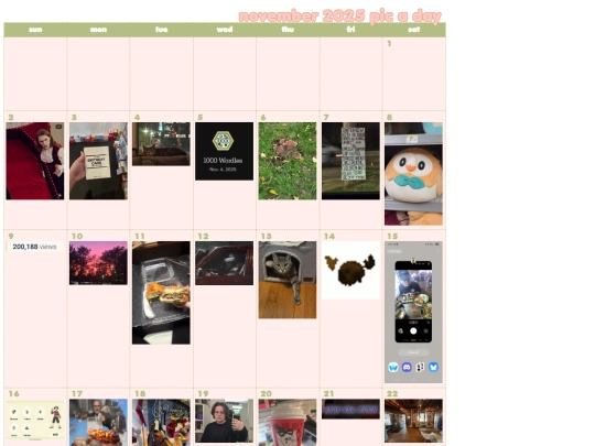 picaday/november25b screenshot