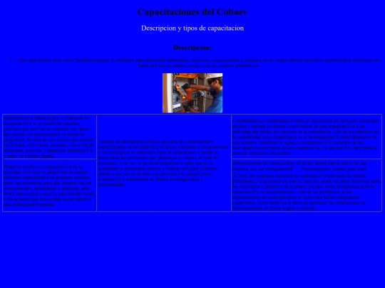 Capacitaciones screenshot