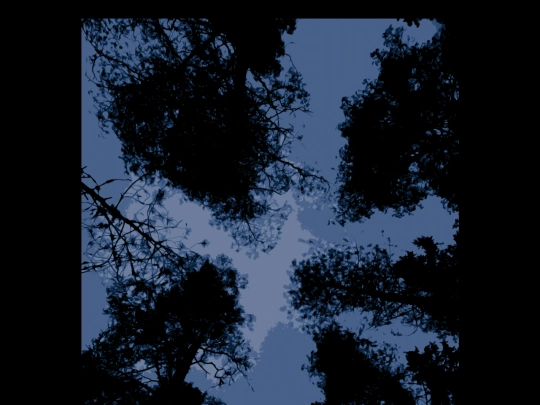pointandclick/stargaze screenshot