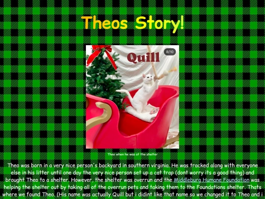 backstory screenshot