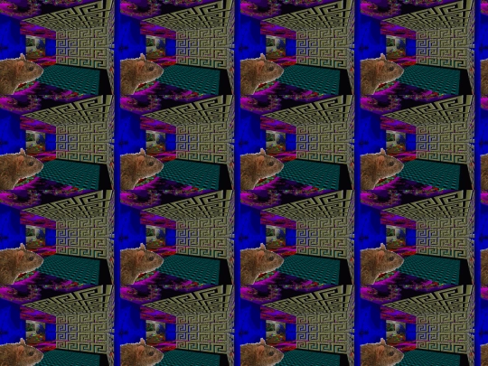 ratmaze screenshot