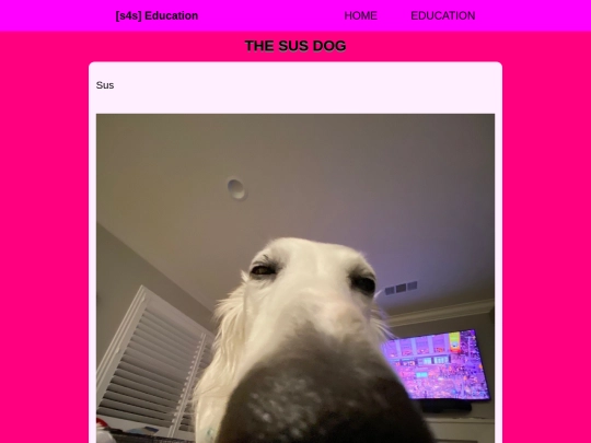 edu-22 screenshot
