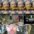 The web site of labbet avatar