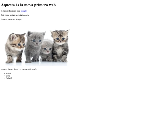 practica1/practica1 screenshot