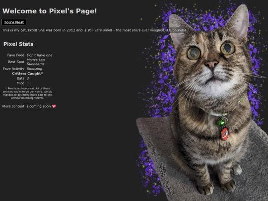 pixel screenshot