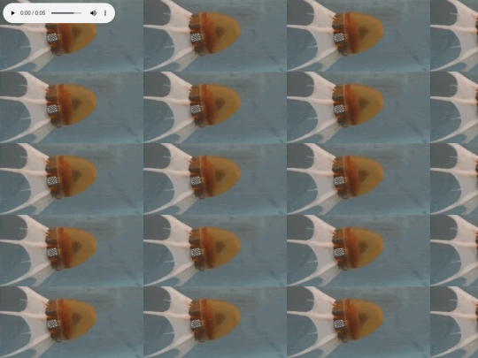 other/jel screenshot