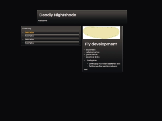 FlyDevelopment/flyDevelopment screenshot