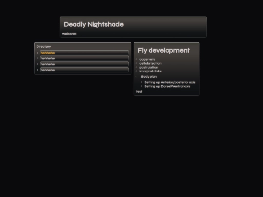 flyDevelopment screenshot