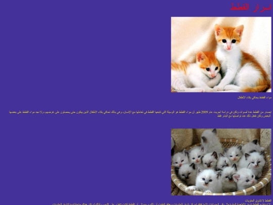 a screenshot