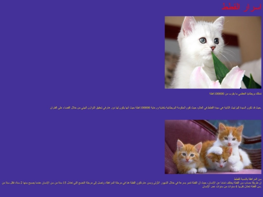 c screenshot