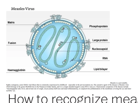 disease screenshot