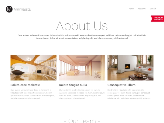 about-us screenshot