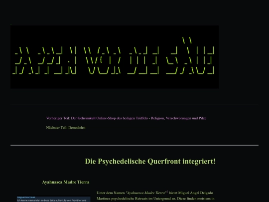 querfront/querfront screenshot