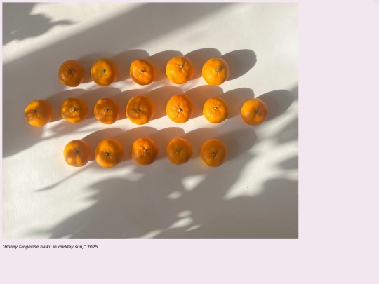 haiku screenshot