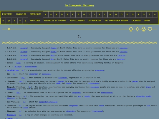 c screenshot