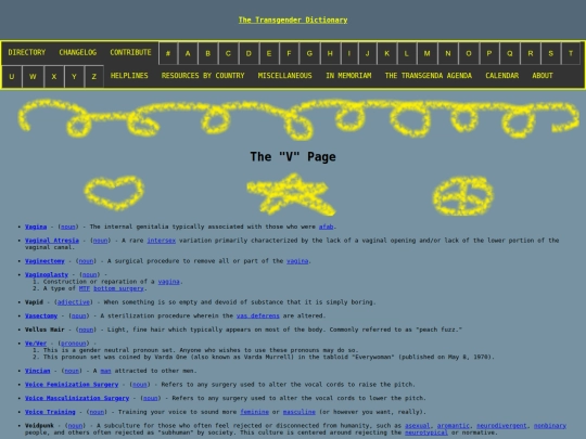 v screenshot