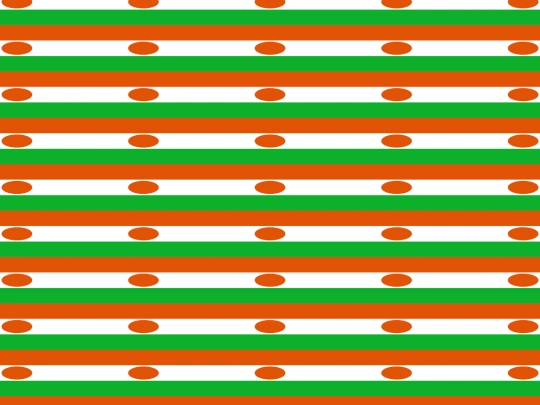 niger screenshot