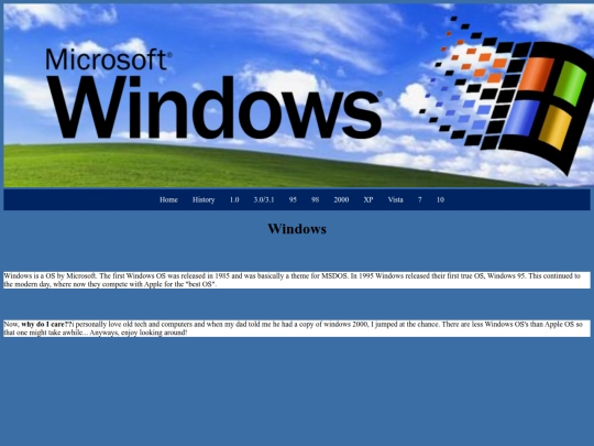 microsoftwindows screenshot