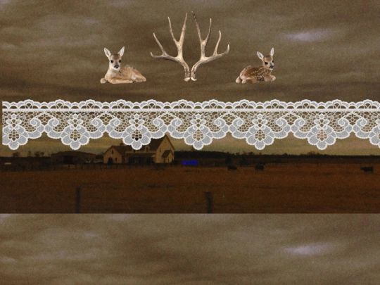 DEER screenshot