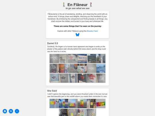 flaneur screenshot